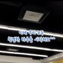 백운태권도 이미지