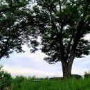 인사동두부마을 이미지