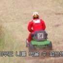 양옥집소정원
