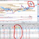 동신텍스 이미지