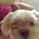 전영호동물병원 이미지