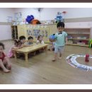 신해강 Daum카페