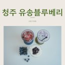 유송푸드 - 춘천시 춘천로310번길 26 | 유송푸드