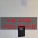 주공유명비디오