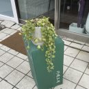 마곡수명산파크4단지(아) 이미지