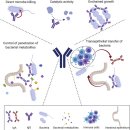 부산일과학고등학교 이미지