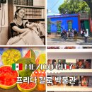 라고 아술(Lago Azul) | 프리다 칼로 뮤지엄 미술관 박물관 멕시코시티 (입장료, 예약방법, 대중교통 이용방법등)