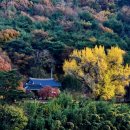 활성동 밀양시국궁장 이미지