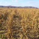 평화농장 이미지