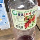 [내돈내산] 문경 오미자청 유정농원