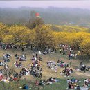 명백사 이미지