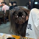 베트남쌀국수(GANH) 이미지