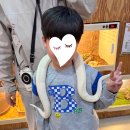 영암곤충박물관 | 영암곤충박물관 주말방문 해설후기 아이랑 영암기찬랜드