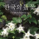도서출판 돌베개 이미지