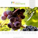가평운악산포도과즙음료영농조합