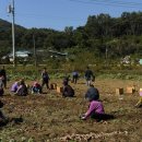 신시리경로당 네이버블로그
