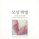 모성 이미지