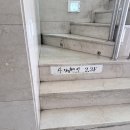 사자헤어 3F
