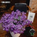 화사한외과의원 | 충남 서산, 카페 들리다 방문 후기에요!
