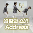 와이에스투어 이미지