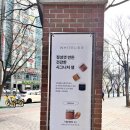 [대구] 식빵계의 에르메스 화이트리에 방문 후기