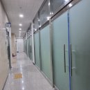 놀러오개애견유치원애견호텔 - 강남구 논현로 168 | 놀러오개애견유치원애견호텔