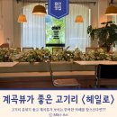 계곡 | [경기/용인] 고기리 계곡뷰 카페 헤일로 찐 방문후기