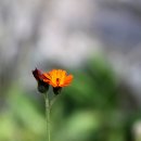 우리들의 편의점 이미지