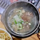 창평한우암소집
