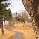 청솔어린이공원 이미지