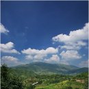 하촌할머니 이미지