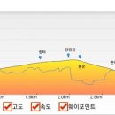 편백숲관광안내소 이미지