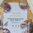 건양다경 베이커리 이미지
