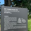 제주 이시돌목장 테시폰식 주택 | [제주도] 성이시돌목장 / 제주도가볼만한곳 무료입장 아이들과가볼만한곳 목장 주차장