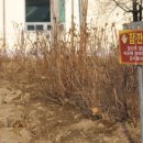 동면게이트볼장 이미지