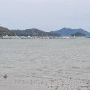 마산사거리 이미지