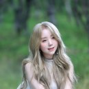 케이1족발