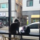 헤어카페 단미