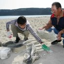 일산해수욕장4(행정봉사실) 이미지