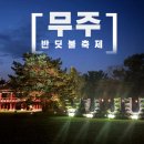 반디의꿈 | 2025 무주 반딧불축제 &amp; 낙화놀이 솔직후기