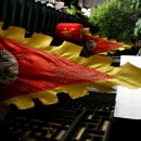 태극 무술관 이미지