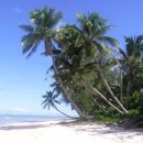 아일랜드 이미지