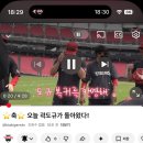금계국