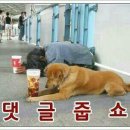 석
