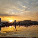 아라 일출 이미지