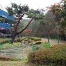 숲속나라유치원 이미지