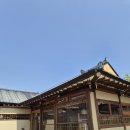 미포식당 | 경주 황리단길 미포기사식당 육회물회 육회비빔밥 내돈내산 솔직후기