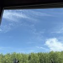 더 배냇 이미지