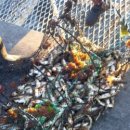 푸른솔길 이미지