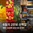 정신없는 6월 마지막주_2만보 산책길_에디션엠, 나의PS파트너 연극, 낙산공원, 이화마을, 광장시장...